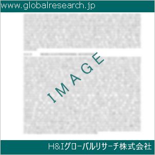 グローバルリサーチ調査資料のイメージ